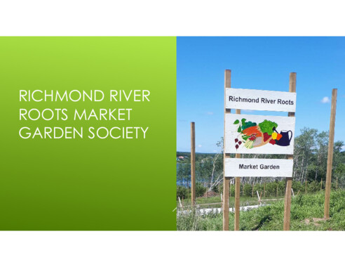 Richmond River Roots Market Garden 