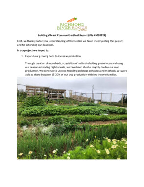 Building Vibrant Communities Final Report